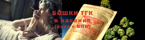 гидра Касимов