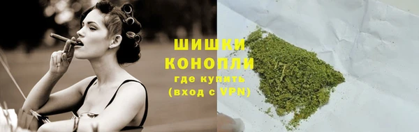 гидра Касимов