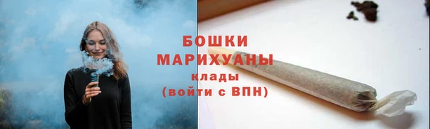 гидра Касимов