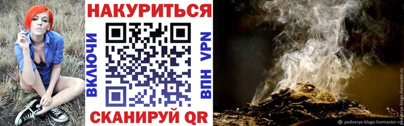 Бошки марихуана индика  Купить закладки  Зея 